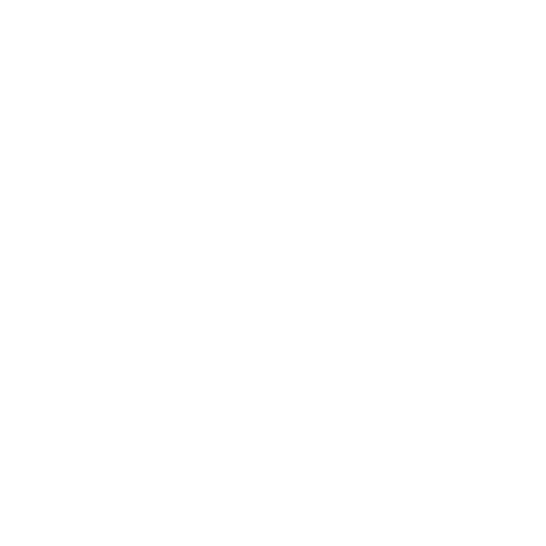 porsche-500x500